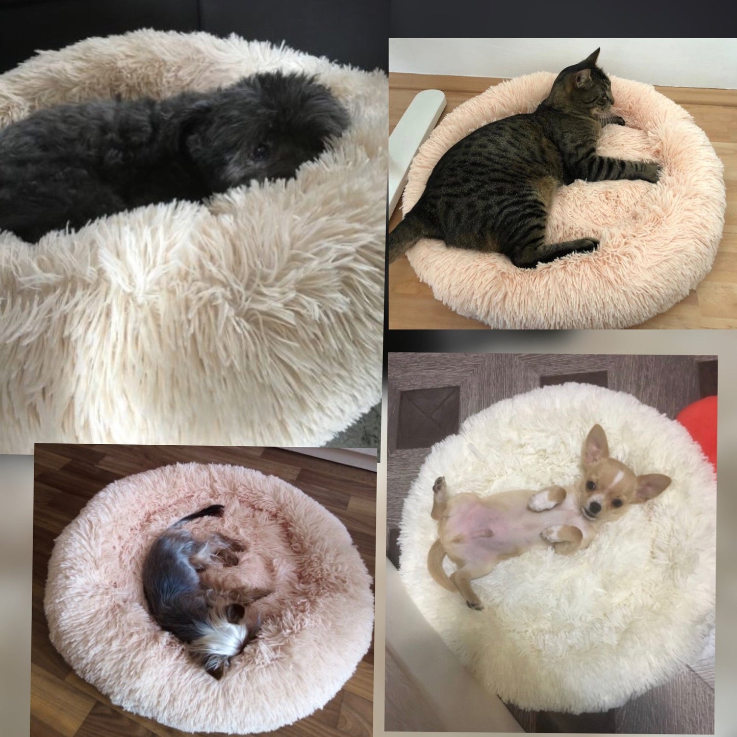 Calms Pet Bed - I Want It