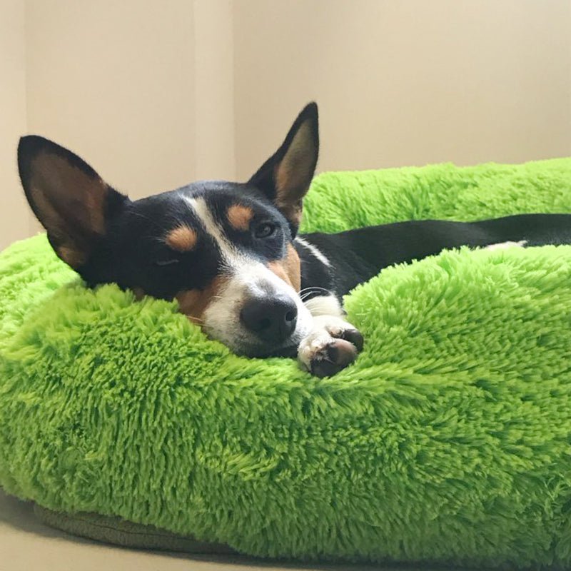 Calms Pet Bed - I Want It