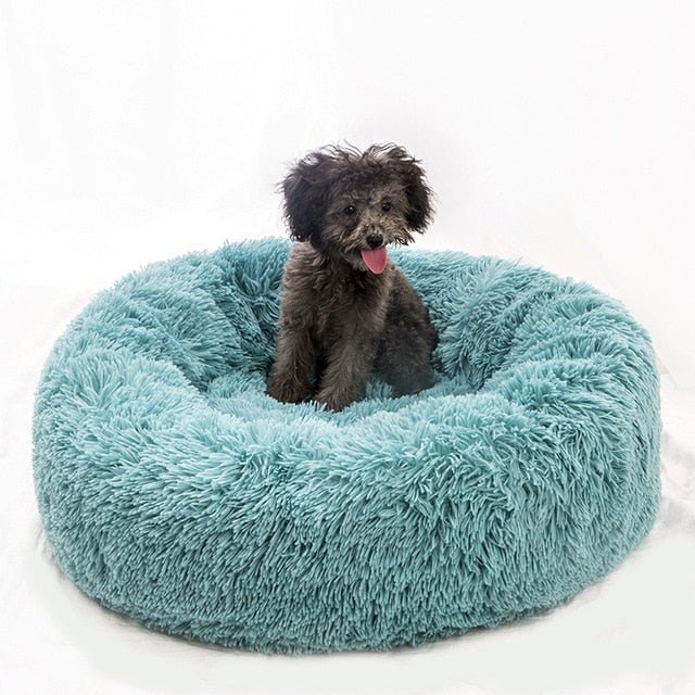 Calms Pet Bed - I Want It