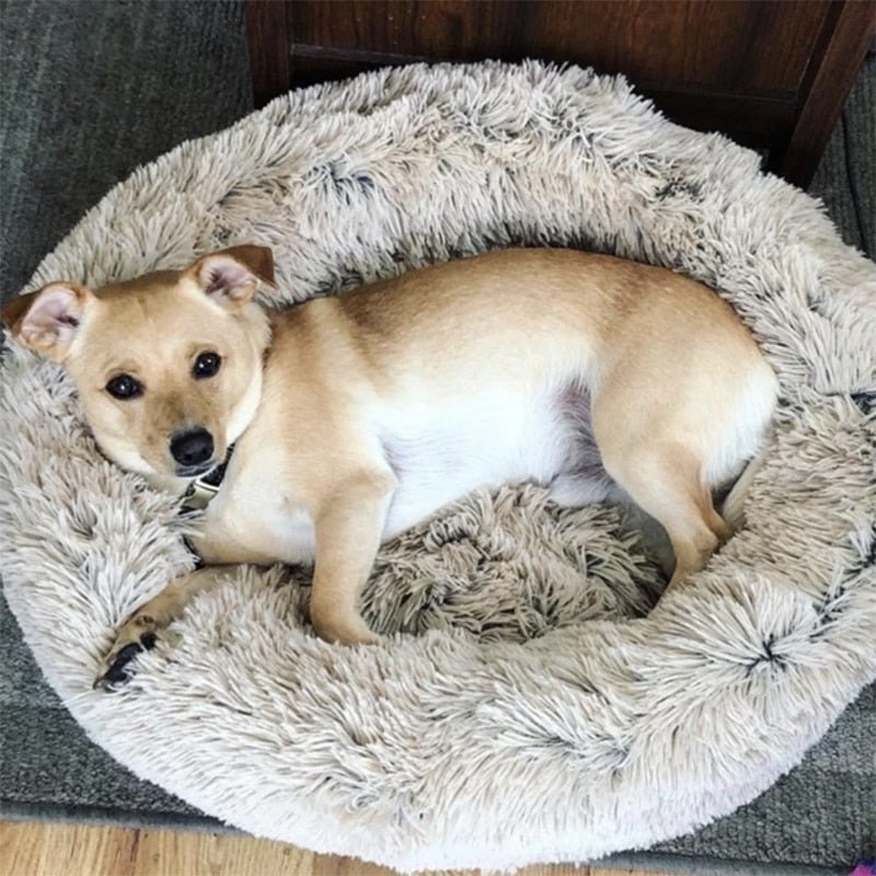 Calms Pet Bed - I Want It