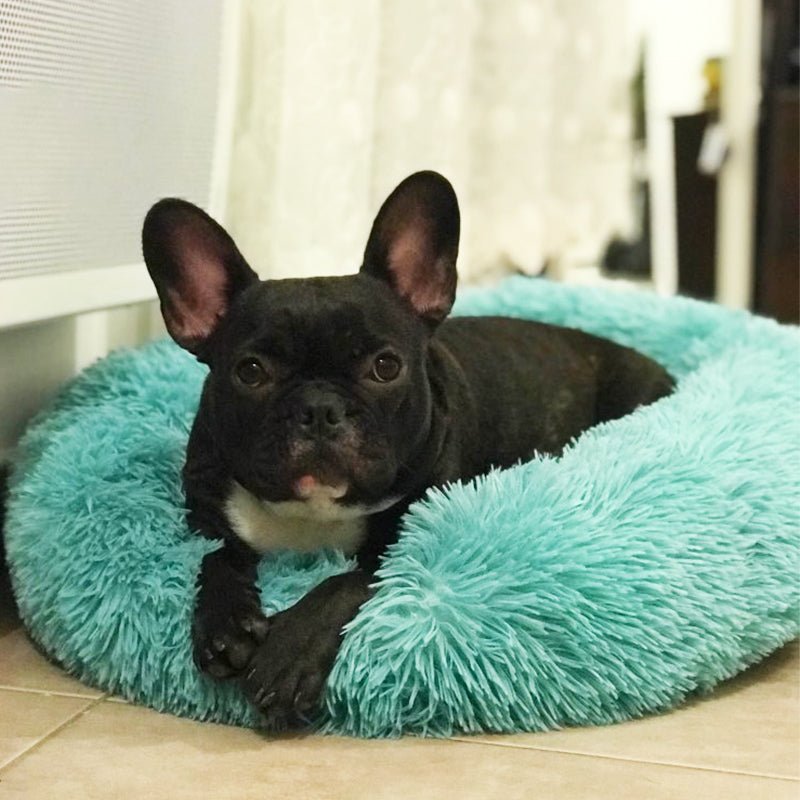 Calms Pet Bed - I Want It