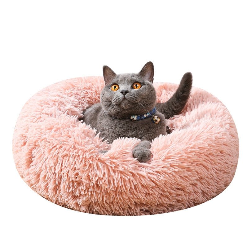 Calms Pet Bed - I Want It