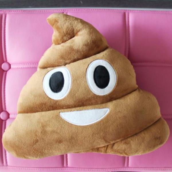 Poop Pillow - I Want It