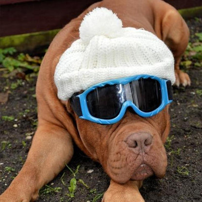 Pup Protectors - I Want It