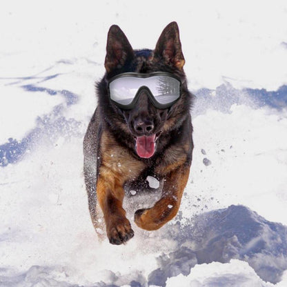 Pup Protectors - I Want It