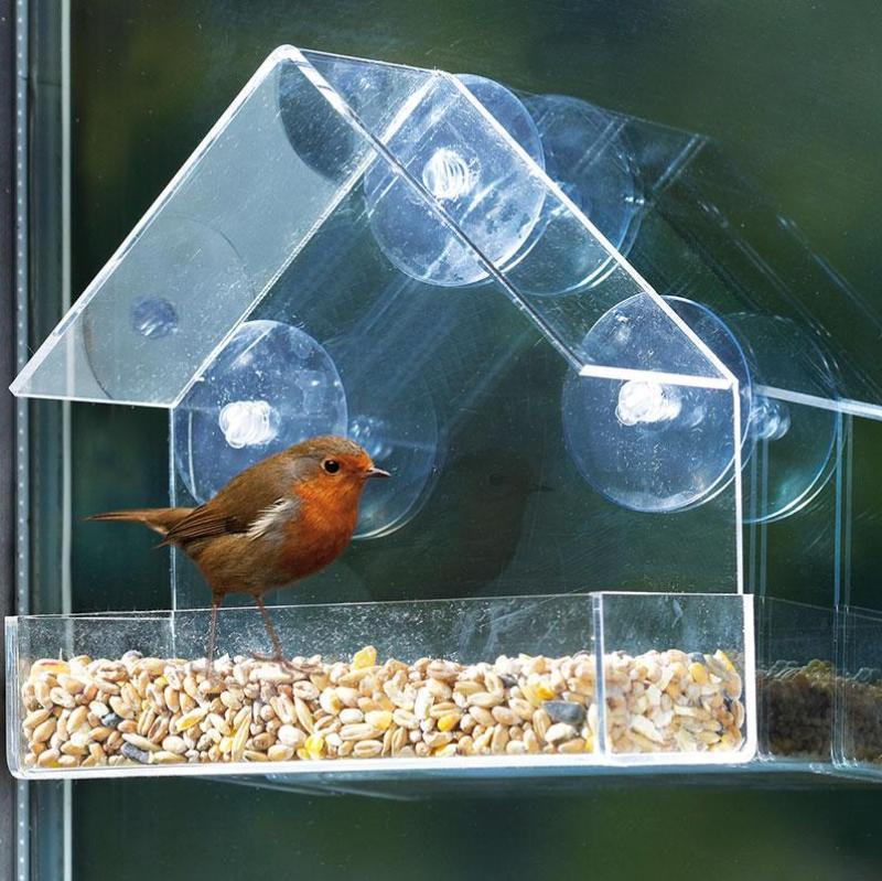 Window Bird Feeder - I Want It